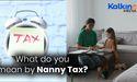  What do you mean by Nanny Tax? 