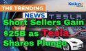  Short Sellers Gain $25B as Tesla Shares Plunge 
