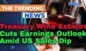  Treasury Wine Estates Cuts Earnings Outlook Amid US Sales Dip 