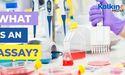  What is an Assay? 