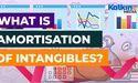  What is Amortisation of Intangibles? 