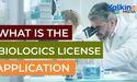  What is the biologics license application or BLA? 