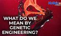  What do we mean by Genetic engineering? 