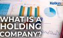  What Is a Holding Company? 