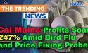  Cal-Maine Profits Soar 247% Amid Bird Flu and Price Fixing Probe 