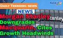  Morgan Stanley Downgrades Macquarie, Cites Growth Headwinds 