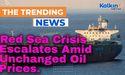  Red Sea Crisis Escalates Amid Unchanged Oil Prices 