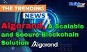  Understanding Algorand: A Scalable and Secure Blockchain Solution 