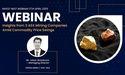  Kalkine Invest-Nest Gold Webinar | Viking Mines Limited (ASX- VKA) Presentation 