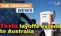  Tesla layoffs extend to Australia 