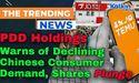  PDD Holdings Warns of Declining Chinese Consumer Demand, Shares Plunge 