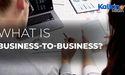  What is Business to Business? 