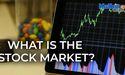  What is the Stock Market? 