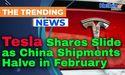  Tesla Shares Slide as China Shipments Halve in February 