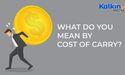 What do you mean by Cost of Carry? 
