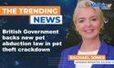  British Government backs new pet abduction law in pet theft crackdown 