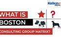  What is Boston Consulting Group Matrix? 