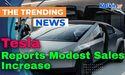  Tesla Reports Modest Sales Increase, Disappoints Investor Expectations 