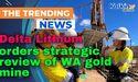  Delta Lithium orders strategic review of WA gold mine 