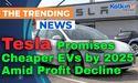 Tesla Promises Cheaper EVs by 2025 Amid Profit Decline