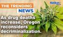 As drug deaths increase, Oregon reconsiders decriminalization