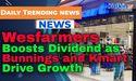  Wesfarmers Boosts Dividend as Bunnings and Kmart Drive Growth 