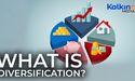 What is diversification?