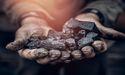  New Hope (ASX:NHC) shares sink 7% today; here’s why 