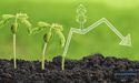 Nufarm's Brokers Search Buyers For $75m Shortfall