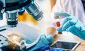 CASI Pharmaceuticals Faces Recent Decline After Robust Year