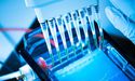 PharmAust To Increase Production of Monepantel: What You Should Know