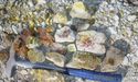  Pursuit Minerals Set For Low Cost And Rapid Production By Vanadium 