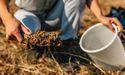  Can Russell 1000 Machinery Trends Drive AGCO Stock Higher Now? 