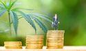  Cannabis Investment Risks: A Practical Guide for ASX Investors 