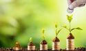  Are TSX Completion Index Cannabis Stocks Losing Momentum Today? 