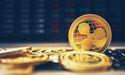 XRP and Toncoin Holders Look to Hedge Bets on FXGuys Presale for Significant ROI Potential