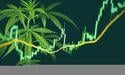  Cannabis Stocks Turn Green, Thanks to TerrAscend 