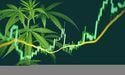  A $3,000 Investment in ASX Cannabis Stocks Turns into $15,000 in 5 Years - Here's Why 