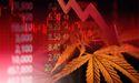  UK Cannabis Stocks: Who Remains After the Market Reset? 