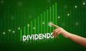 Don’t Overlook These Undervalued Dividend Stocks