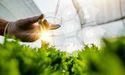 MustGrow's East Coast Expansion Under Review After TerraSante Approval in Florida