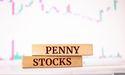  A Penny Stock Trap or Hidden Gem? The Checklist That Changes Everything 