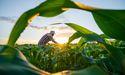  What Drives Rollins, Inc. (NYSE:ROL) Investment Moves? 
