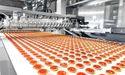 TreeHouse Foods (NYSE:THS) Faces Earnings Miss Despite Stock Gains