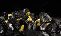  GoGold Resources (TSX:GGD) Advances Exploration Following Major Capital Raise 