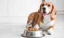  How Is Freshpet, Inc. (NASDAQ:FRPT) Balancing Market Trends and Financial Strategies 