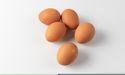 Farm Pride Foods (ASX:FRM) Surges 29%, But Growth Concerns Keep Valuations Low