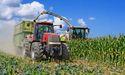  Can Nutrien’s Market Position Sustain Amid Current Challenges? 