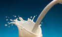  Synlait Milk (ASX:SM1) posts 235% surge in yearly net profit 
