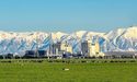 Synlait Updates On High Court Decision Being Reversed